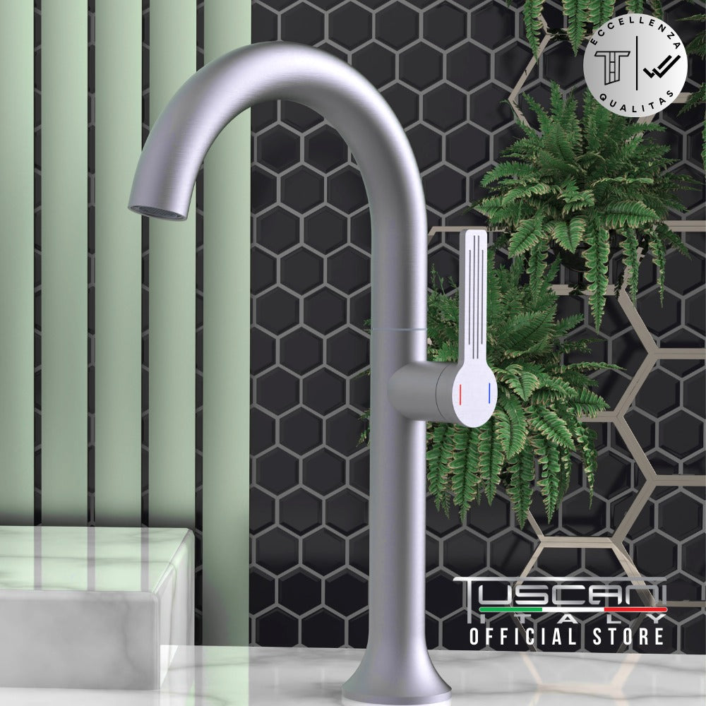 TE102HGM/HMG - Eviana Series Tall Basin Faucet