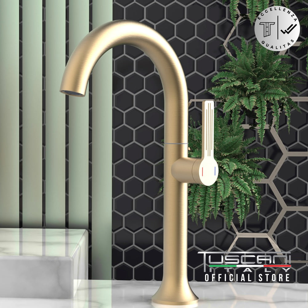 TE102HGM/HMG - Eviana Series Tall Basin Faucet