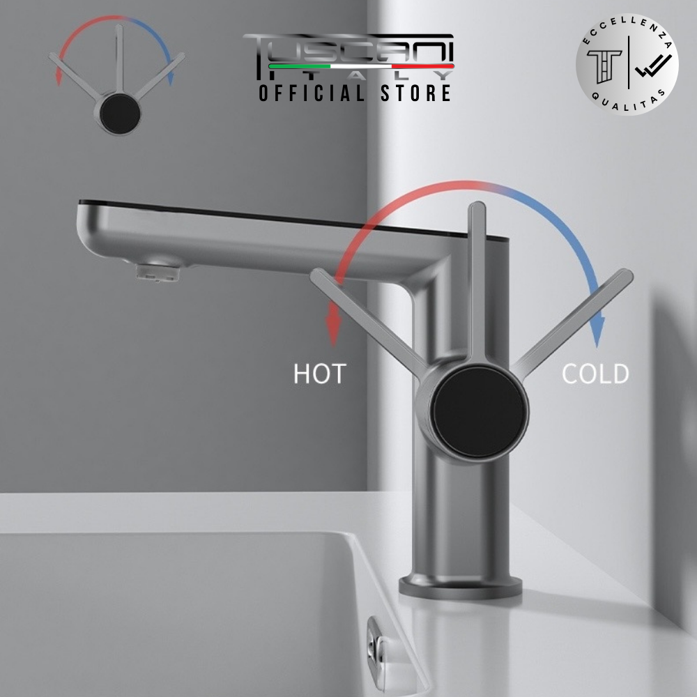 TV102 Basin Mixer