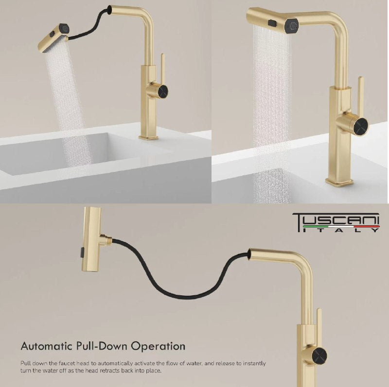 Tuscani TK119-PO Kitchen Mixer Pull Out